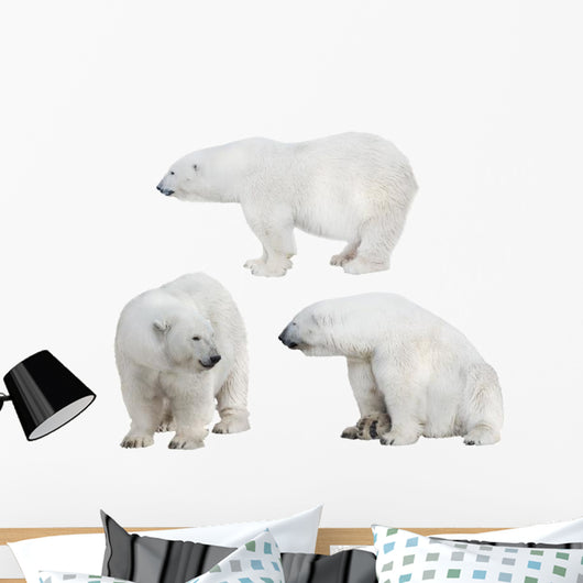 Three White Polar Bears Wall Decal Sticker Set