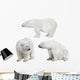 Three White Polar Bears Wall Decal Sticker Set