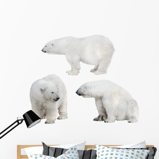Three White Polar Bears Wall Decal Sticker Set