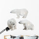 Three White Polar Bears Wall Decal Sticker Set