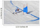 ski race Wall Mural