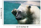 polar bear waving Wall Mural