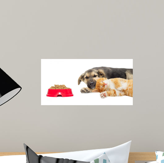 Kitten and Puppy Sleeping Wall Mural
