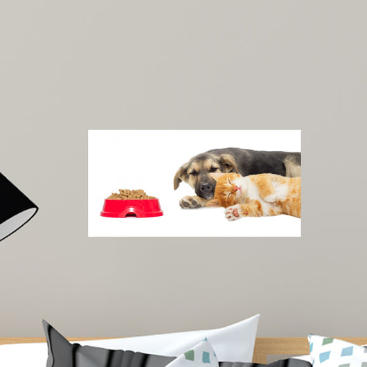 Kitten and Puppy Sleeping Wall Mural