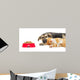 Kitten and Puppy Sleeping Wall Mural