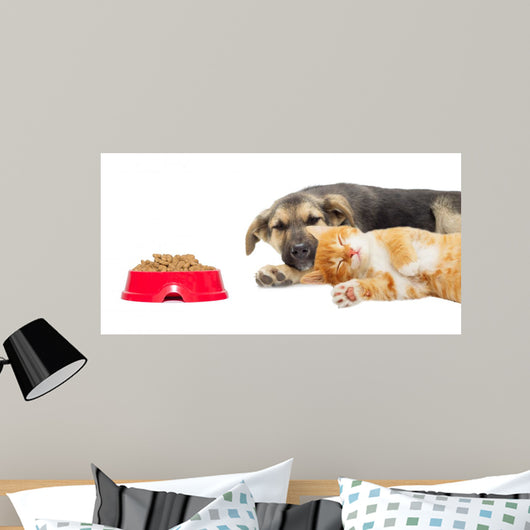 Kitten and Puppy Sleeping Wall Mural