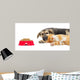 Kitten and Puppy Sleeping Wall Mural