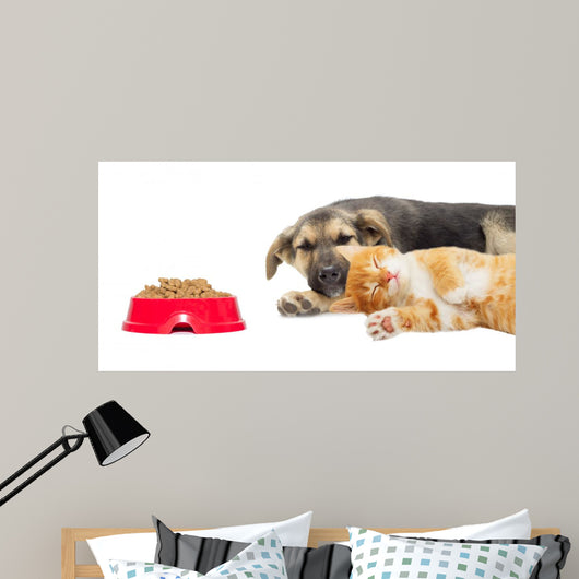Kitten and Puppy Sleeping Wall Mural