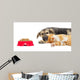 Kitten and Puppy Sleeping Wall Mural