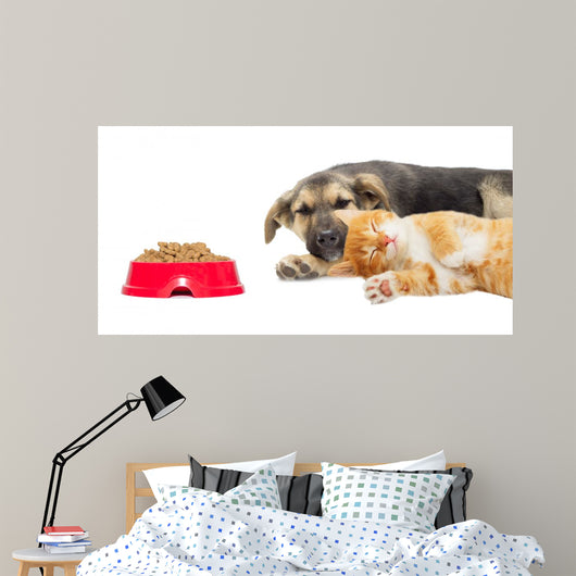 Kitten and Puppy Sleeping Wall Mural