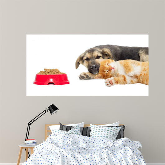 Kitten and Puppy Sleeping Wall Mural