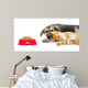 Kitten and Puppy Sleeping Wall Mural