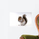 Squirrel with a nut Wall Decal