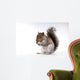 Squirrel with a nut Wall Decal