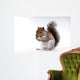Squirrel with a nut Wall Decal
