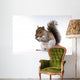 Squirrel with a nut Wall Decal
