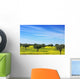 Olives Tree Field Yellow Wall Mural