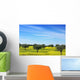 Olives Tree Field Yellow Wall Mural