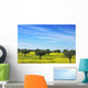 Olives Tree Field Yellow Wall Mural