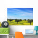 Olives Tree Field Yellow Wall Mural