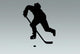 Hockey Wall Mural