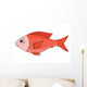 Red Fish Hand Drawn Wall Mural