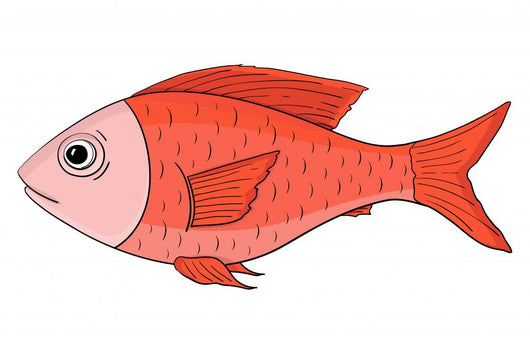 Red Fish Hand Drawn Wall Mural