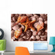Shells Wall Mural