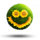 Smiling Grassy Sunflowers Wall Decal