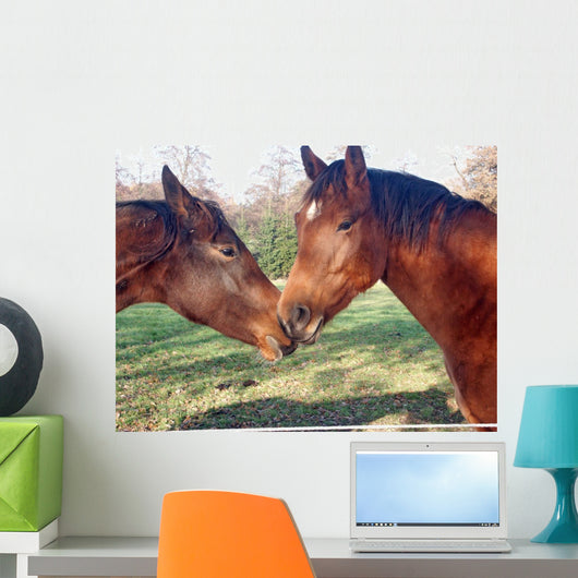 Horse 20031109006 Wall Mural