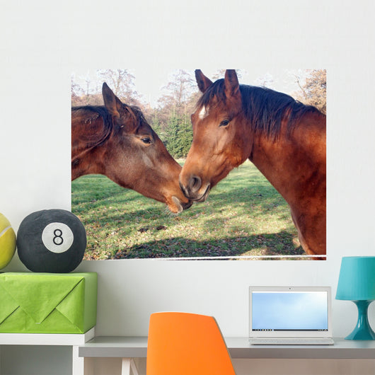 Horse 20031109006 Wall Mural