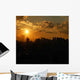 Sun Wall Mural