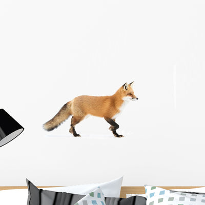 Red Fox Wall Decal shown on a wall