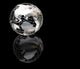 wiireframe metallic globe Wall Mural