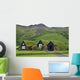 houses in iceland Wall Mural