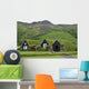 houses in iceland Wall Mural
