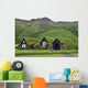 houses in iceland Wall Mural