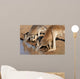 Kangaroos Drinking Waterhole Wall Mural