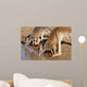 Kangaroos Drinking Waterhole Wall Mural