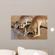 Kangaroos Drinking Waterhole Wall Mural