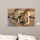 Kangaroos Drinking Waterhole Wall Mural