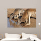 Kangaroos Drinking Waterhole Wall Mural