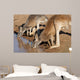 Kangaroos Drinking Waterhole Wall Mural