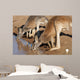 Kangaroos Drinking Waterhole Wall Mural