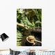 Garden Wall Mural