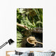 Garden Wall Mural