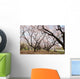 Cherry Blossoms Wall Mural