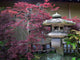 Japanese Garden Wall Mural
