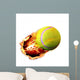 Tennis Ball Flames