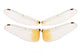 Wings Dragonfly Wall Decal Sticker Set